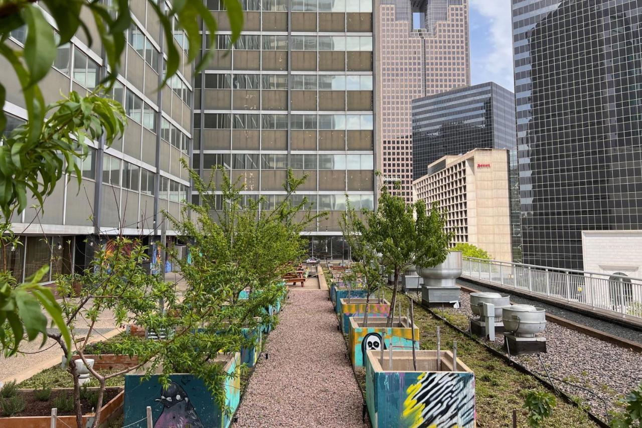 Sheraton Dallas Hotel Eksteriør bilde